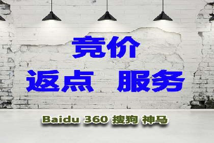 SEM竞价员的核心技能与成功案例解析